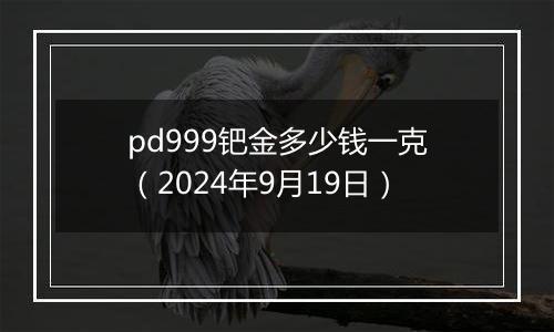 pd999钯金多少钱一克（2024年9月19日）