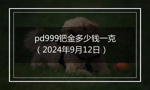pd999钯金多少钱一克（2024年9月12日）