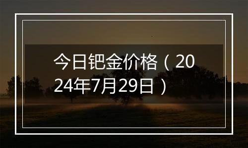 今日钯金价格（2024年7月29日）