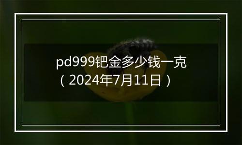pd999钯金多少钱一克（2024年7月11日）