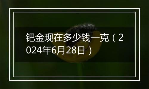 钯金现在多少钱一克(2024年6月28日)