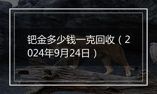 钯金多少钱一克回收(2024年9月24日)
