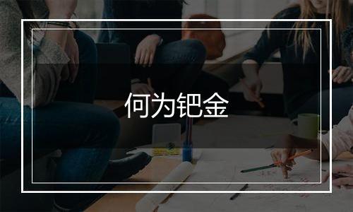 何为钯金