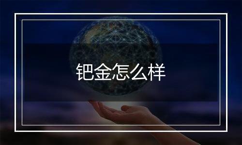 钯金怎么样