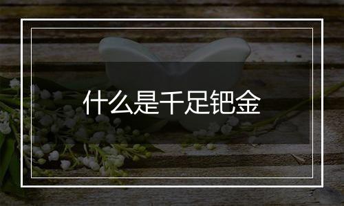 什么是千足钯金