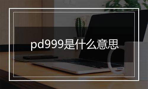 pd999是什么意思