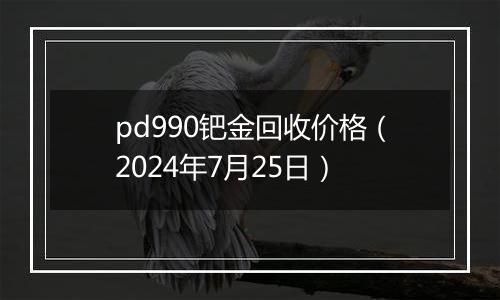 pd990钯金回收价格(2024年7月25日)