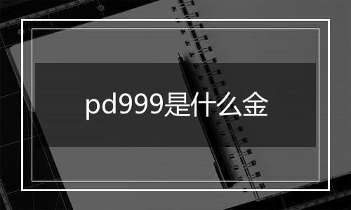 pd999是什么金