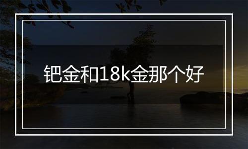钯金和18k金那个好