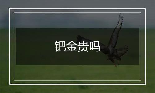 钯金贵吗
