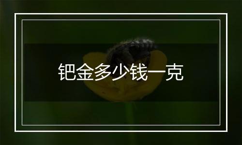 钯金多少钱一克