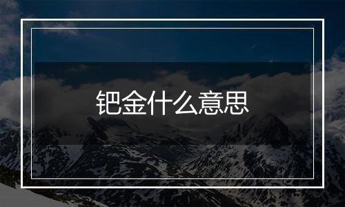 钯金什么意思