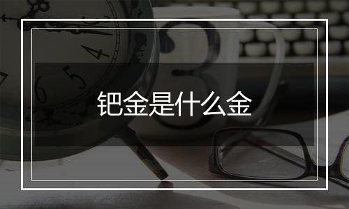 钯金是什么金