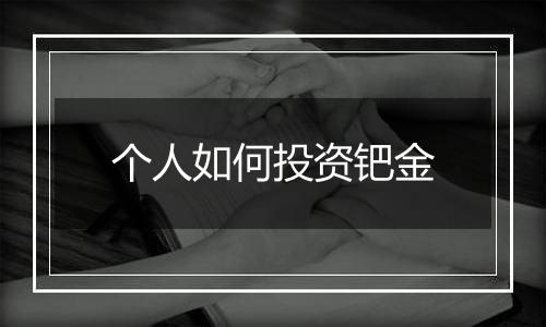 个人如何投资钯金