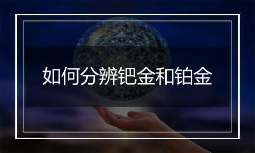 如何分辨钯金和铂金