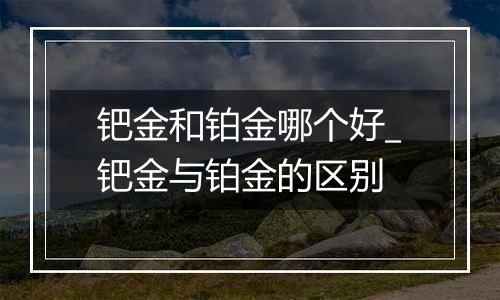 钯金和铂金哪个好_钯金与铂金的区别