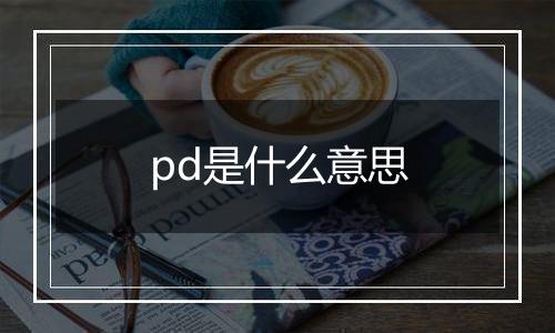 pd是什么意思