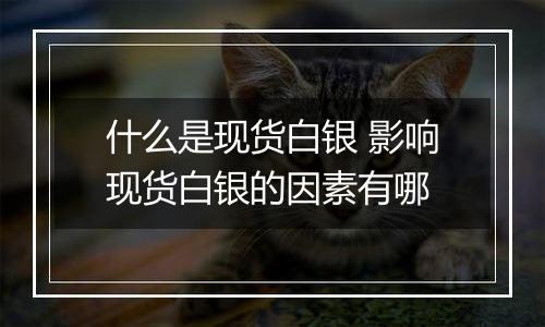 什么是现货白银 影响现货白银的因素有哪