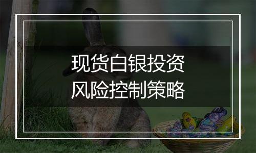 现货白银投资风险控制策略