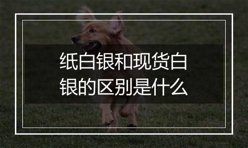 纸白银和现货白银的区别是什么