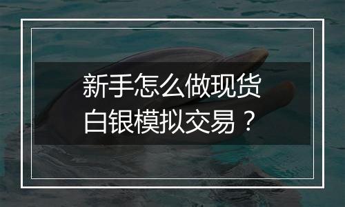 新手怎么做现货白银模拟交易?