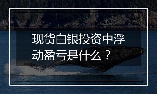 现货白银投资中浮动盈亏是什么？