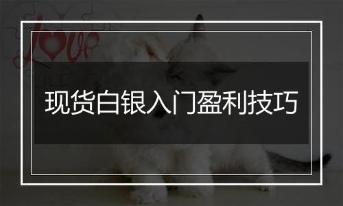 现货白银入门盈利技巧