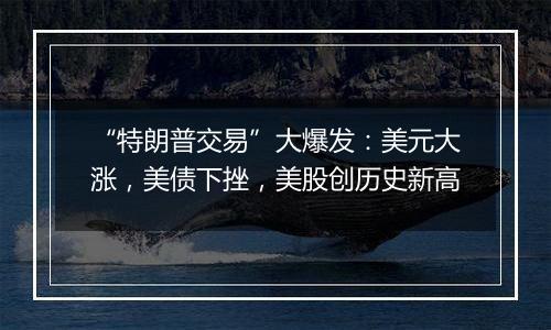 “特朗普交易”大爆发:美元大涨,美债下挫,美股创历史新高