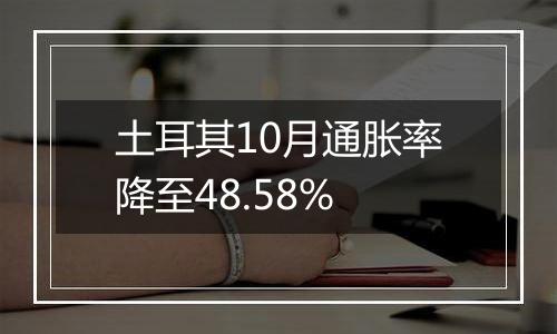 土耳其10月通胀率降至48.58%