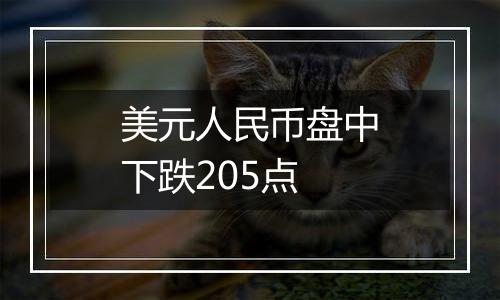 美元人民币盘中下跌205点