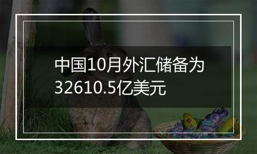 中国10月外汇储备为32610.5亿美元