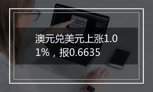 澳元兑美元上涨1.01%,报0.6635