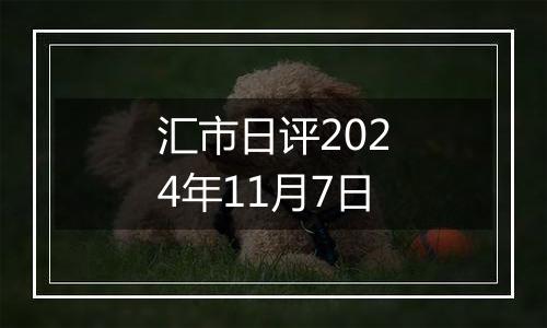 汇市日评2024年11月7日