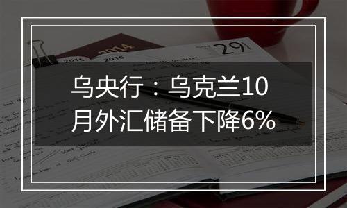 乌央行:乌克兰10月外汇储备下降6%