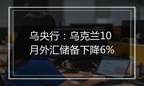 乌央行:乌克兰10月外汇储备下降6%