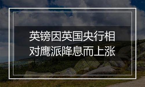 英镑因英国央行相对鹰派降息而上涨