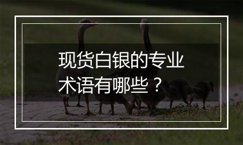 现货白银的专业术语有哪些？