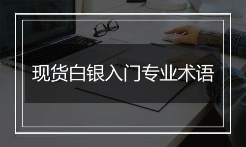 现货白银入门专业术语
