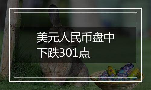 美元人民币盘中下跌301点