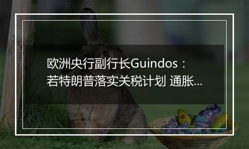 欧洲央行副行长Guindos:若特朗普落实关税计划 通胀面临巨大冲击