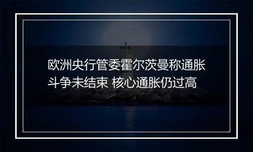 欧洲央行管委霍尔茨曼称通胀斗争未结束 核心通胀仍过高
