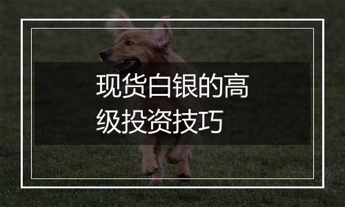 现货白银的高级投资技巧
