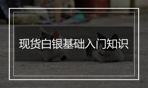 现货白银基础入门知识
