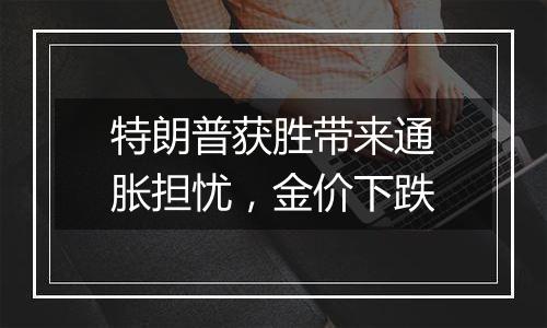 特朗普获胜带来通胀担忧,金价下跌