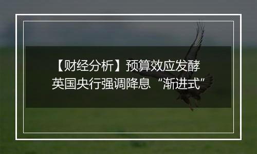 【财经分析】预算效应发酵 英国央行强调降息“渐进式”