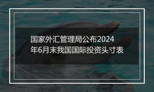 国家外汇管理局公布2024年6月末我国国际投资头寸表
