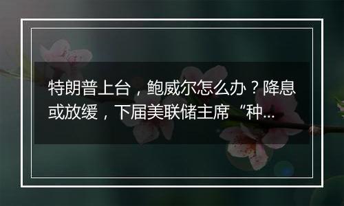 特朗普上台,鲍威尔怎么办?降息或放缓,下届美联储主席“种子选手”呼吁领导层中立