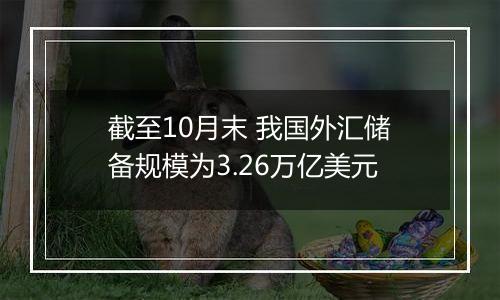 截至10月末 我国外汇储备规模为3.26万亿美元