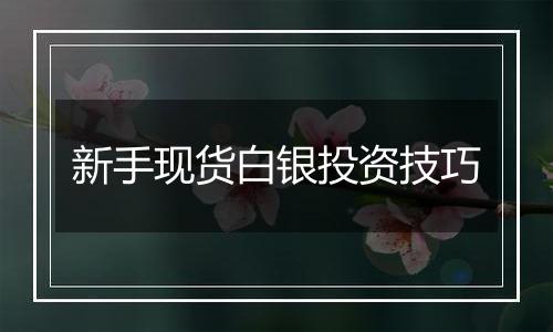 新手现货白银投资技巧