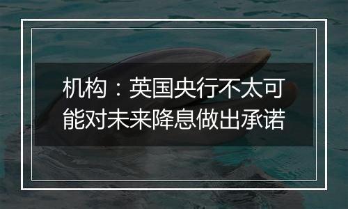 机构:英国央行不太可能对未来降息做出承诺